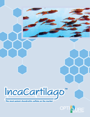 IncaCartilago™ Brochure Thumbnail